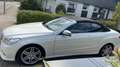 Mercedes-Benz E 350 E 350 CDI Cabrio AMG BlueEFFICIENCY 7G-TRONIC Beyaz - thumbnail 7