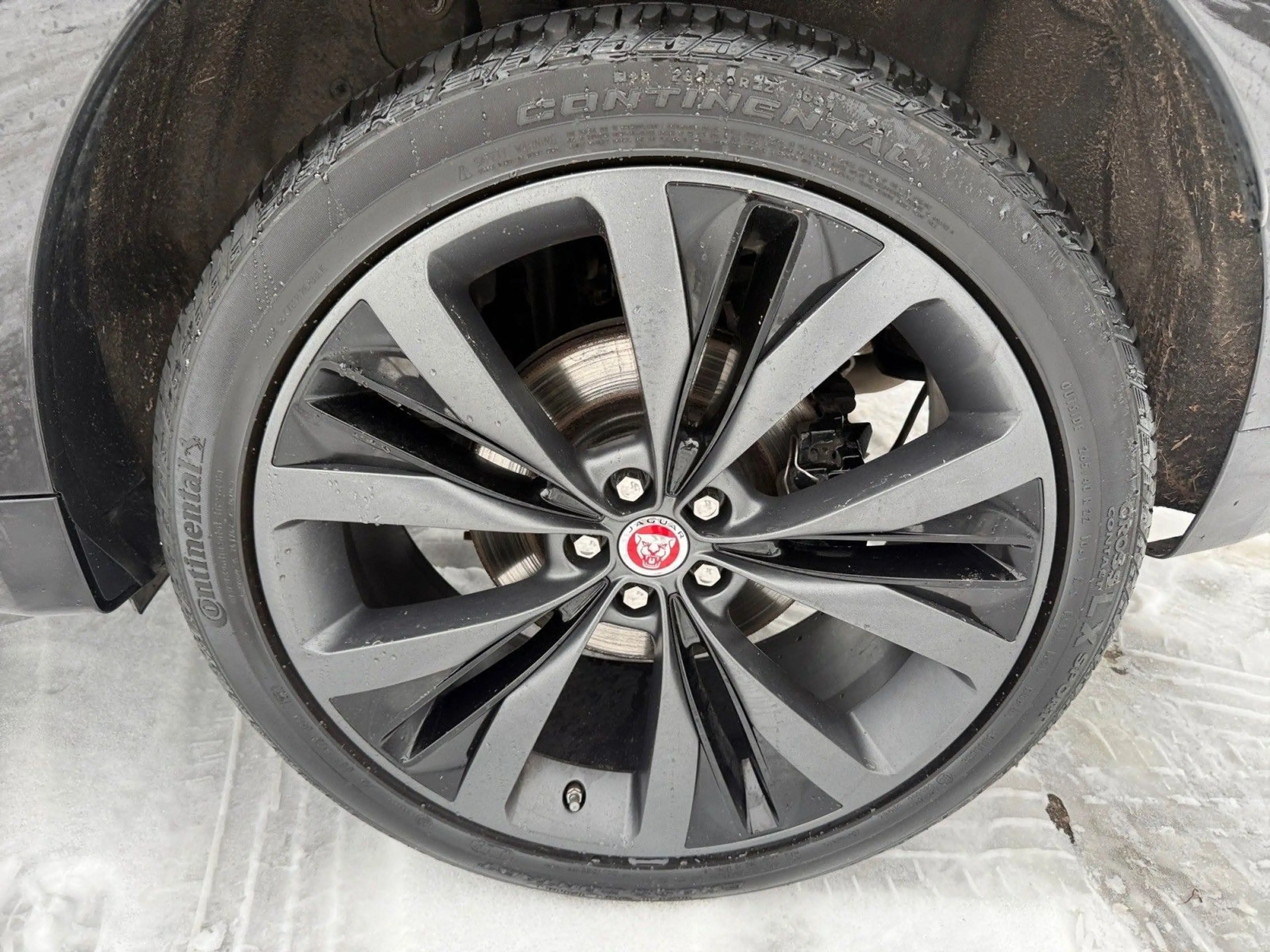 Jaguar F-Pace F-PACE R- 300 Sport AWD R 22 Zoll — photo 14