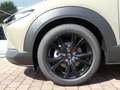 Mazda CX-30 2025 e-SKYACTIV-G M-Hybrid 140 HOMURA Verde - thumbnail 5