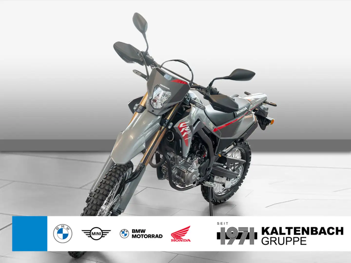 Honda CRF 300 L Gris - 1