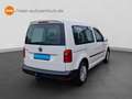 Volkswagen Caddy 1.0 TSI AHK Klima Comp. Audio Tempomat uvm Wit - thumbnail 6