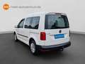 Volkswagen Caddy 1.0 TSI AHK Klima Comp. Audio Tempomat uvm Wit - thumbnail 4