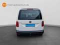 Volkswagen Caddy 1.0 TSI AHK Klima Comp. Audio Tempomat uvm Wit - thumbnail 5
