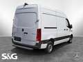 Mercedes-Benz Sprinter 317 CDI Kasten L2H2 KAMERA 360° SITZHZ. Weiß - thumbnail 4