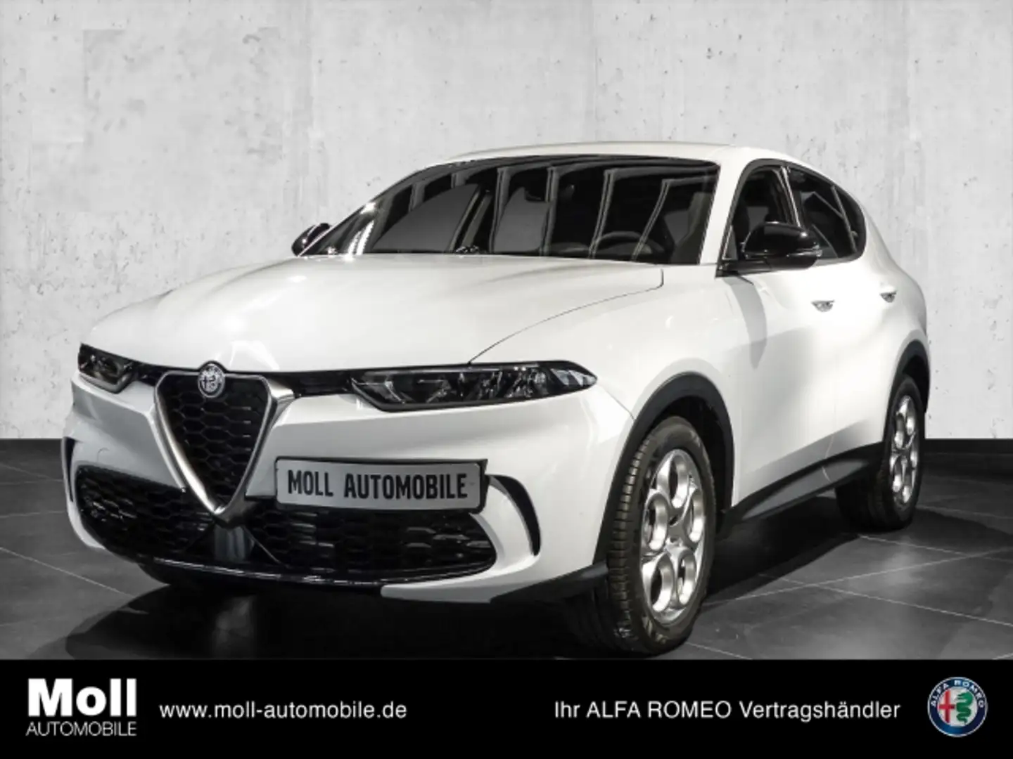 Alfa Romeo Tonale Super PDC LED APPLE CARPLAY 18 ZOLL Weiß - 2