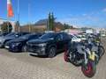 Suzuki GSX-S 125 Vorführer ohne Km Blau - thumbnail 6