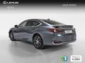 Lexus ES 300 300h Premium Grau - thumbnail 2