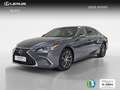 Lexus ES 300 300h Premium Grau - thumbnail 1