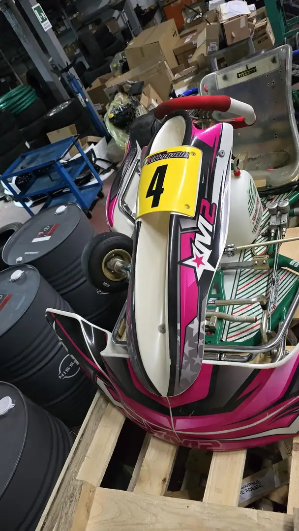 Другие TONY KART 2021 Фиолетовый - 2