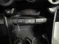 Kia Picanto 1.0 12V 5 porte Urban Blanc - thumbnail 14