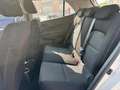 Kia Picanto 1.0 12V 5 porte Urban Blanc - thumbnail 9