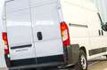 Fiat Ducato 30 L2H2 2.3 Business Blanco - thumbnail 26