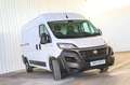 Fiat Ducato 30 L2H2 2.3 Business Blanco - thumbnail 13