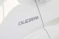 Fiat Ducato 30 L2H2 2.3 Business Blanco - thumbnail 19