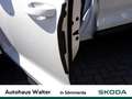 Skoda Kodiaq 2.0 TDI Style 4x4 Weiß - thumbnail 20