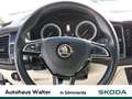 Skoda Kodiaq 2.0 TDI Style 4x4 Weiß - thumbnail 12