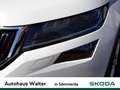 Skoda Kodiaq 2.0 TDI Style 4x4 Weiß - thumbnail 6