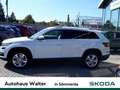 Skoda Kodiaq 2.0 TDI Style 4x4 Weiß - thumbnail 3