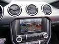 Ford Mustang Cabrio GT V8 Magne-Ride+Klimasitze Klima Navi Black - thumbnail 13