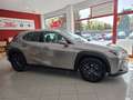 Lexus UX 250h 2.0 Business Gris - thumbnail 8