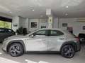 Lexus UX 250h 2.0 Business Gris - thumbnail 4