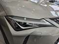 Lexus UX 250h 2.0 Business Gris - thumbnail 9