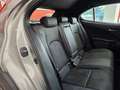 Lexus UX 250h 2.0 Business Gris - thumbnail 39