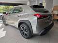 Lexus UX 250h 2.0 Business Gris - thumbnail 5