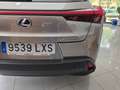 Lexus UX 250h 2.0 Business Gris - thumbnail 19