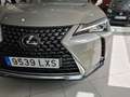 Lexus UX 250h 2.0 Business Gris - thumbnail 12