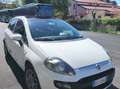 Fiat Punto Evo 5p 1.2 Blue&Me s&s Bianco - thumbnail 3