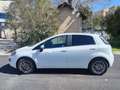 Fiat Punto Evo 5p 1.2 Blue&Me s&s Bianco - thumbnail 4