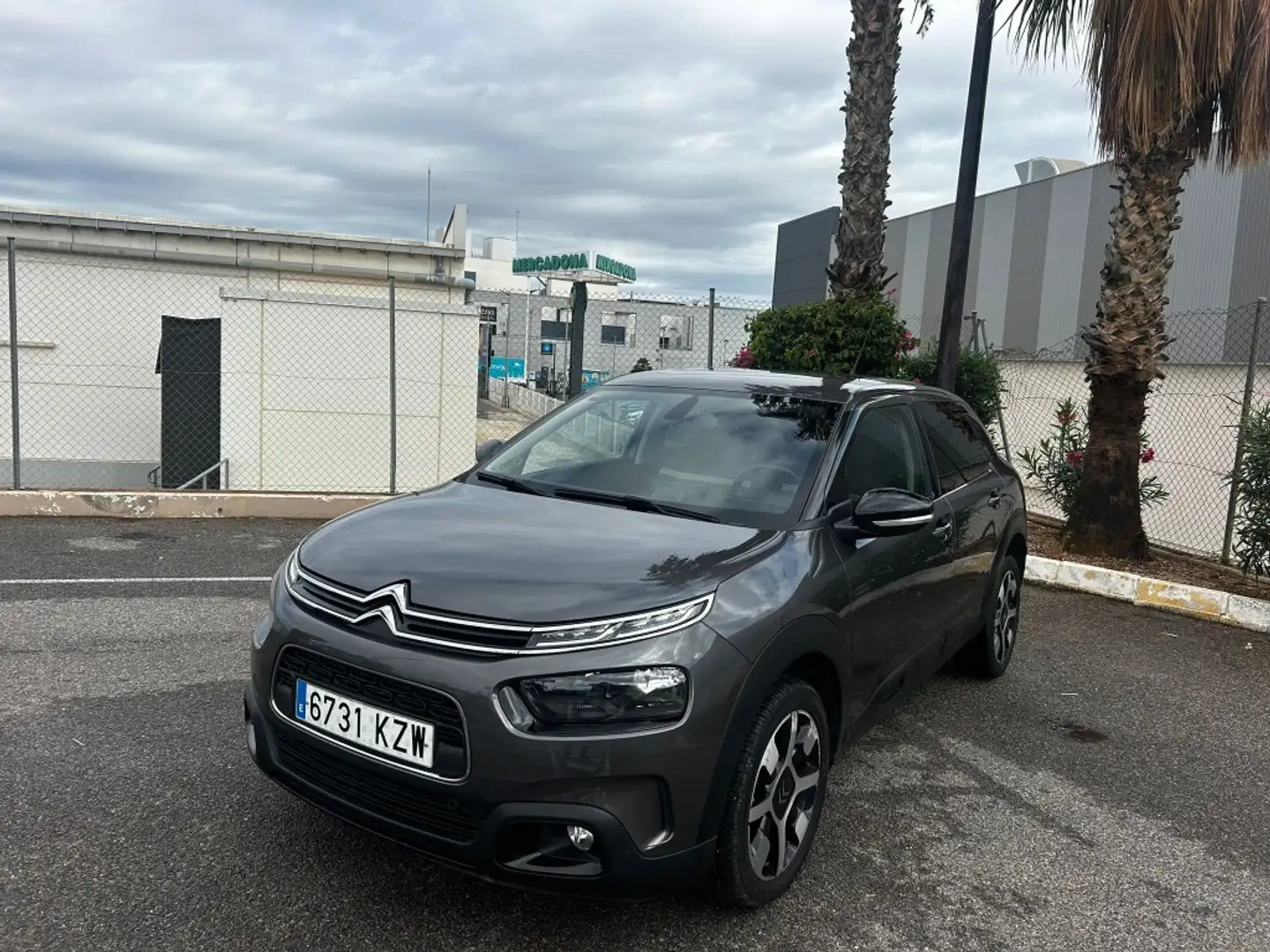 Citroen C4 Cactus 1.6BlueHDi S&S Live 100 Gris - 1