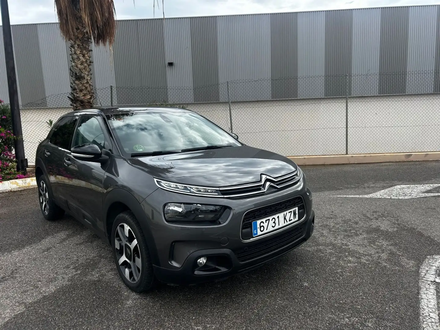 Citroen C4 Cactus 1.6BlueHDi S&S Live 100 Gris - 2