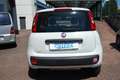 Fiat Panda VAN 0.9 t.air t. natural power METANO Blanc - thumbnail 4