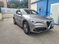 Alfa Romeo Stelvio Stelvio 2017 2.2 t Super Q4 210cv auto Grigio - thumbnail 1