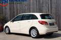 Mercedes-Benz B 180 D Klima Navi Autom. Turbo Kaput 80KW Eu6 Bianco - thumbnail 2