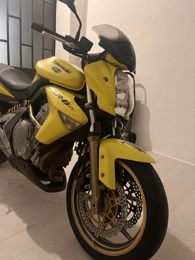 Kawasaki ER - 6 N - 1