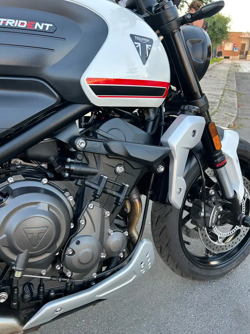Triumph Trident 660 Bianco - 2