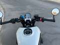 Triumph Trident 660 Bianco - thumbnail 13