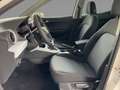 SEAT Arona Road Edition 1.0 TSI 85 kW (116 PS) 6-Gang Blanc - thumbnail 7