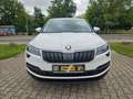 Skoda Karoq Style AHK LED e.Heckklappe Sitz/LkrdhzgTempomat... Weiß - thumbnail 5