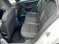 Skoda Octavia *Scout*DSG* 4x4 *2.0 TDI* 135kW* Weiß - thumbnail 18