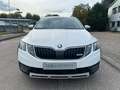 Skoda Octavia *Scout*DSG* 4x4 *2.0 TDI* 135kW* Weiß - thumbnail 2