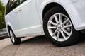 Dodge Grand Caravan 3.6l 7. Sitzer MwSt/Inz /Tausch möglich Weiß - thumbnail 3