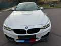 BMW M4 M4 Cabrio M-DKG Aut. (F83) Weiß - thumbnail 4