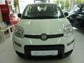 Fiat Panda HYBRID 1,0  51 kW ( 70 PS ) PDC Klima 5 Sitzer Blanco - thumbnail 12