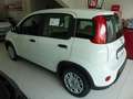 Fiat Panda HYBRID 1,0  51 kW ( 70 PS ) PDC Klima 5 Sitzer Weiß - thumbnail 3