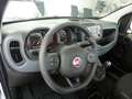 Fiat Panda HYBRID 1,0  51 kW ( 70 PS ) PDC Klima 5 Sitzer Weiß - thumbnail 7