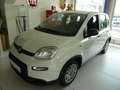 Fiat Panda HYBRID 1,0  51 kW ( 70 PS ) PDC Klima 5 Sitzer Blanco - thumbnail 2